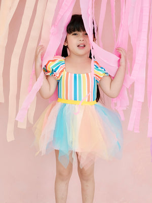 Fairy Tutu Skirt | Rainbow