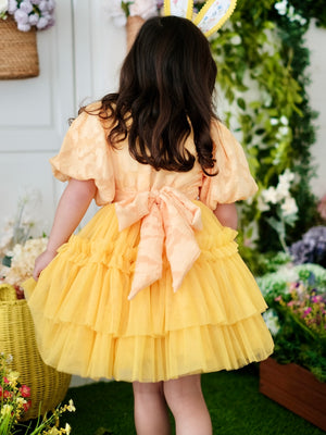 Pascalle Tutu Dress