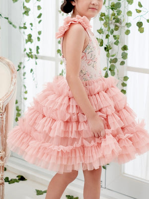 Minette Tutu Dress