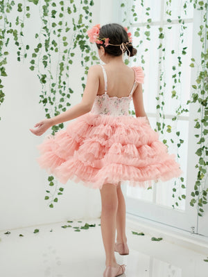 Minette Tutu Dress